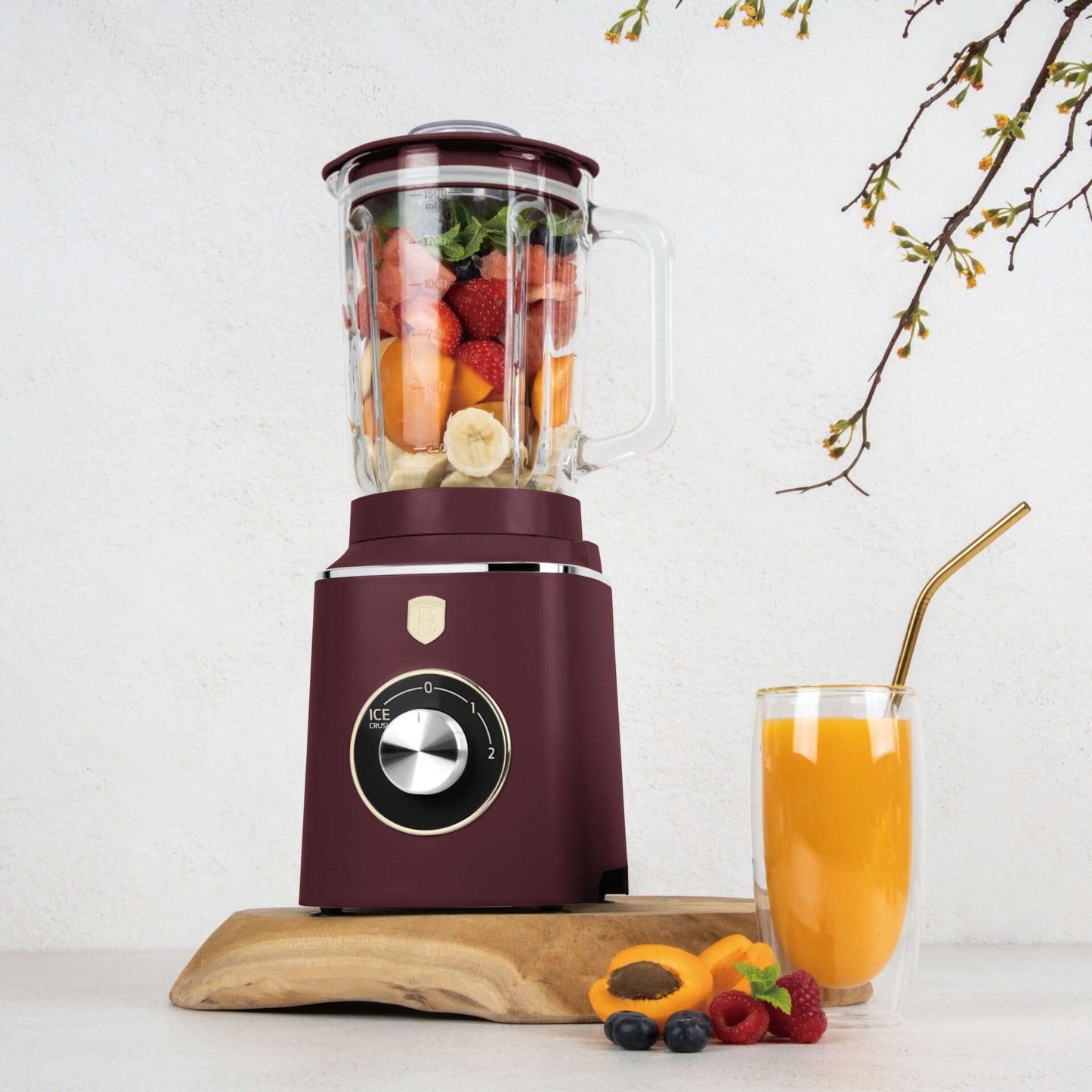 Blender Berlinger Haus Leonardo