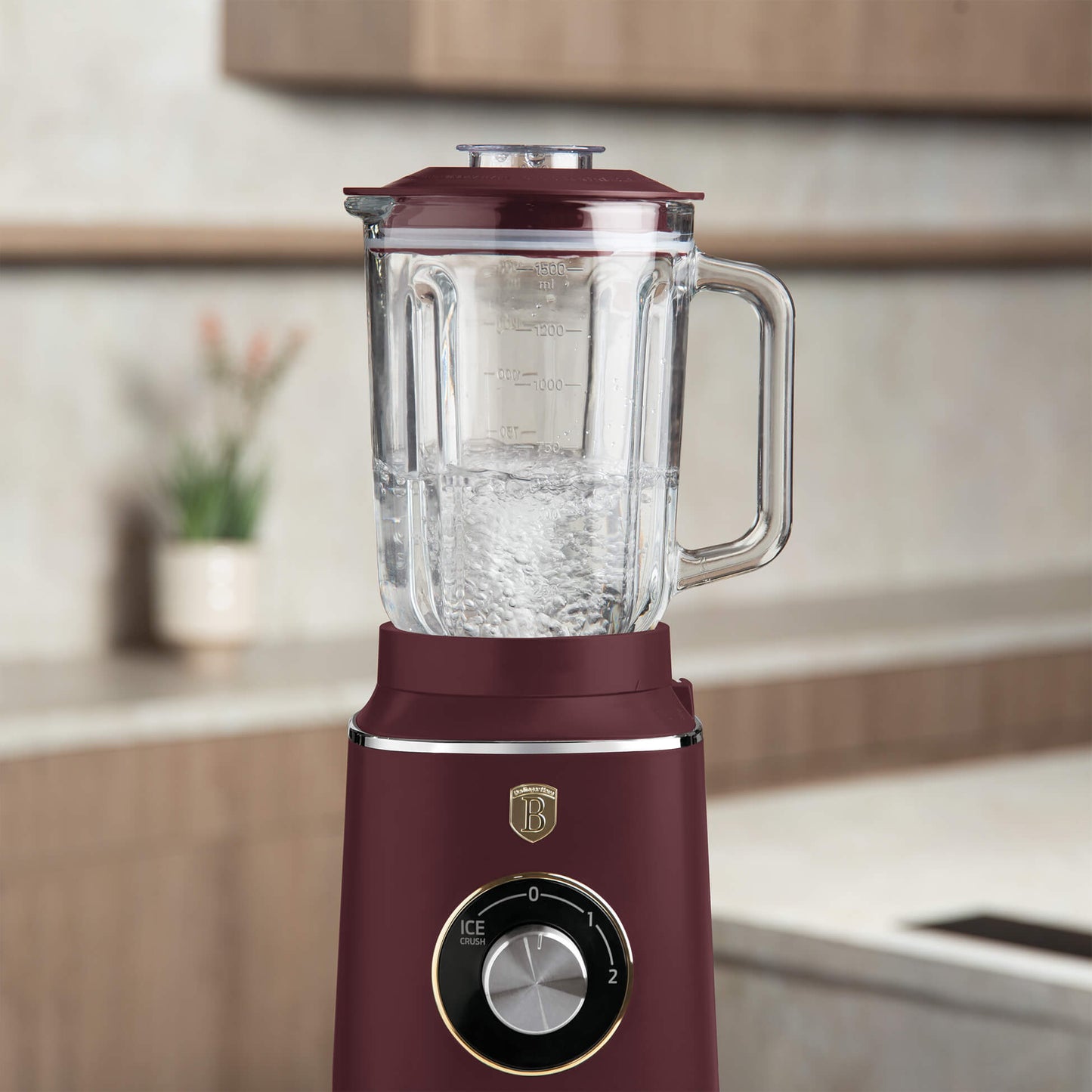 Blender Berlinger Haus Leonardo